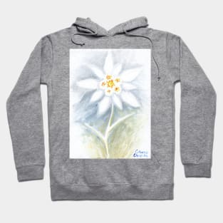 Leontopodium nivale or the  edelweiss flower Hoodie